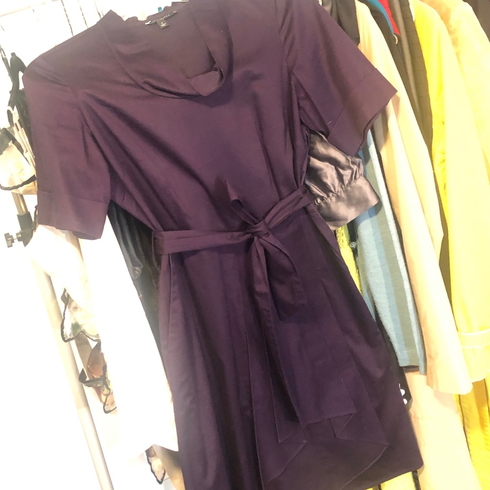 Plum dress by the Limited **pockets!**